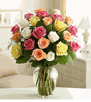 Two Dozen Premium Long Stem Assorted Roses