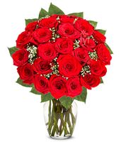 Two Dozen Premium Long Stem Red Roses