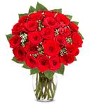 Two Dozen Premium Long Stem Red Roses