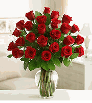 Two Dozen Premium Long Stem Red Roses