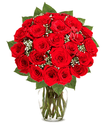 Two Dozen Premium Long Stem Red Roses