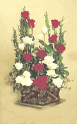 Two dozen red and white roses