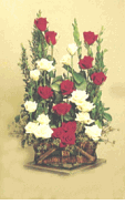 Two dozen red and white roses