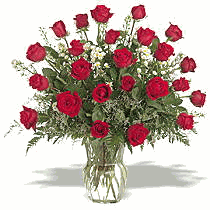  Two Dozen Red Rose Aniversary