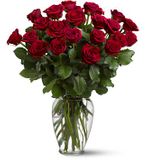 Two Dozen Red Roses