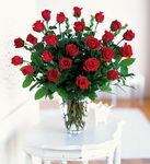 Two Dozen Red Roses 