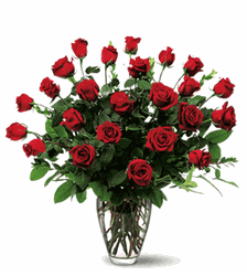Two Dozen Red Roses