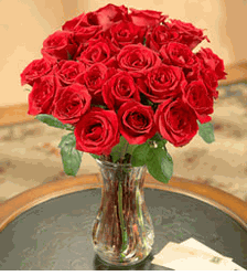 Two Dozen Red Roses 