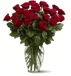 Two Dozen Red Roses Valentine