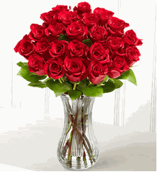 Two Dozen Red Roses 