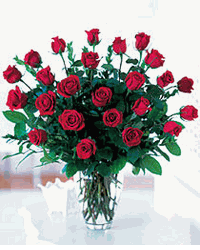 Two Dozen Red Roses -Spring-Summer