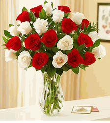 Two Dozen Red & White Roses 