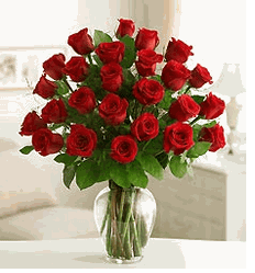 Two Dozen Roses