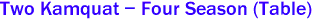 Two Kamquat - Four Season (Table) 