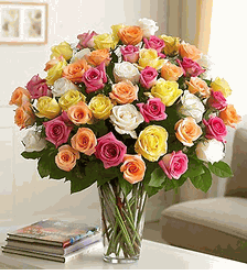 Ultimate Elegance Premium Long Stem Assorted Roses