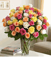 Ultimate Elegance Premium Long Stem Assorted Roses