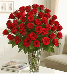  Ultimate Elegance Premium Long Stem Red Roses