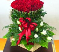 Valentine Rose 