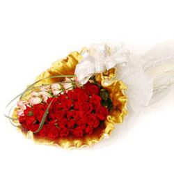 Valentine red rose 