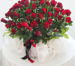 Valentine RED ROSE
