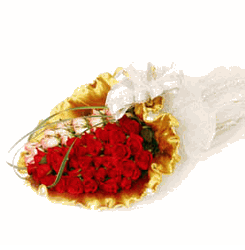 Valentine red rose 