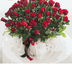 Valentine RED ROSE