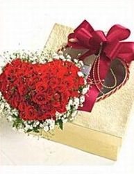 Valentine rose heart