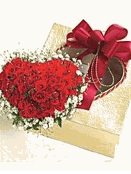 Valentine rose heart