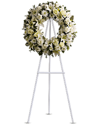 Click to enlarge