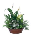 Vietnamese Sugar Land, Texas Saigon Florist, Flower Shop Hoa Funeral
