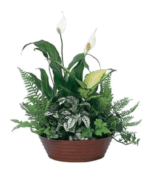 Vietnamese Sugar Land, Texas Saigon Florist, Flower Shop Hoa Funeral