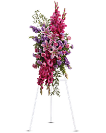 Click to enlarge