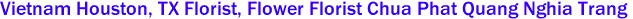 Vietnam Houston, TX Florist, Flower Florist Chua Phat Quang Nghia Trang 