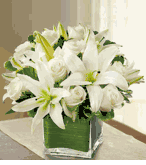 Vietnam Obituaries Restland Funeral Dallas, TX