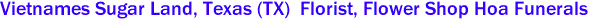 Vietnames Sugar Land, Texas (TX)  Florist, Flower Shop Hoa Funerals