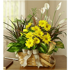 Vietnamese Cedar Hill, Texas (TX) Florist, Flower Shop Hoa Funerals 