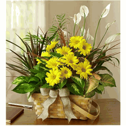 Vietnamese Cedar Hill, Texas (TX) Florist, Flower Shop Hoa Funerals 