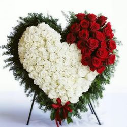  Vietnamses Florist, Flower Shop Funeral  Hoa Dam Tang Kentucky (KY)