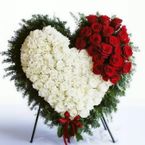  Vietnamses Florist, Flower Shop Funeral  Hoa Dam Tang Kentucky (KY)