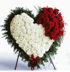  Vietnamses Florist, Flower Shop Funeral  Hoa Dam Tang Kentucky (KY)