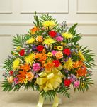  Vietnam San Jose, Milpitas Freemont Florists,Flower Shop Hoa Funeral 