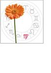virgo: august 23 - september 23