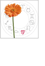 virgo: august 23 - september 23