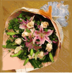 Warm Wishes