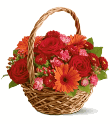 Warm Wishes