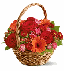 Warm Wishes