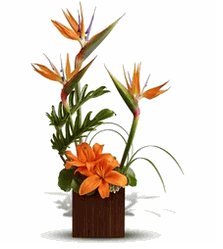 Wedding Gifts