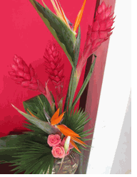 Weeding flower Bird of paradise Arranged