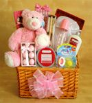 Welcome Baby Girl Gift Basket