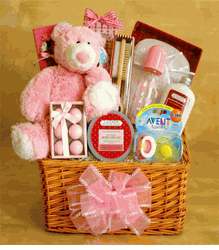 Welcome Baby Girl Gift Basket